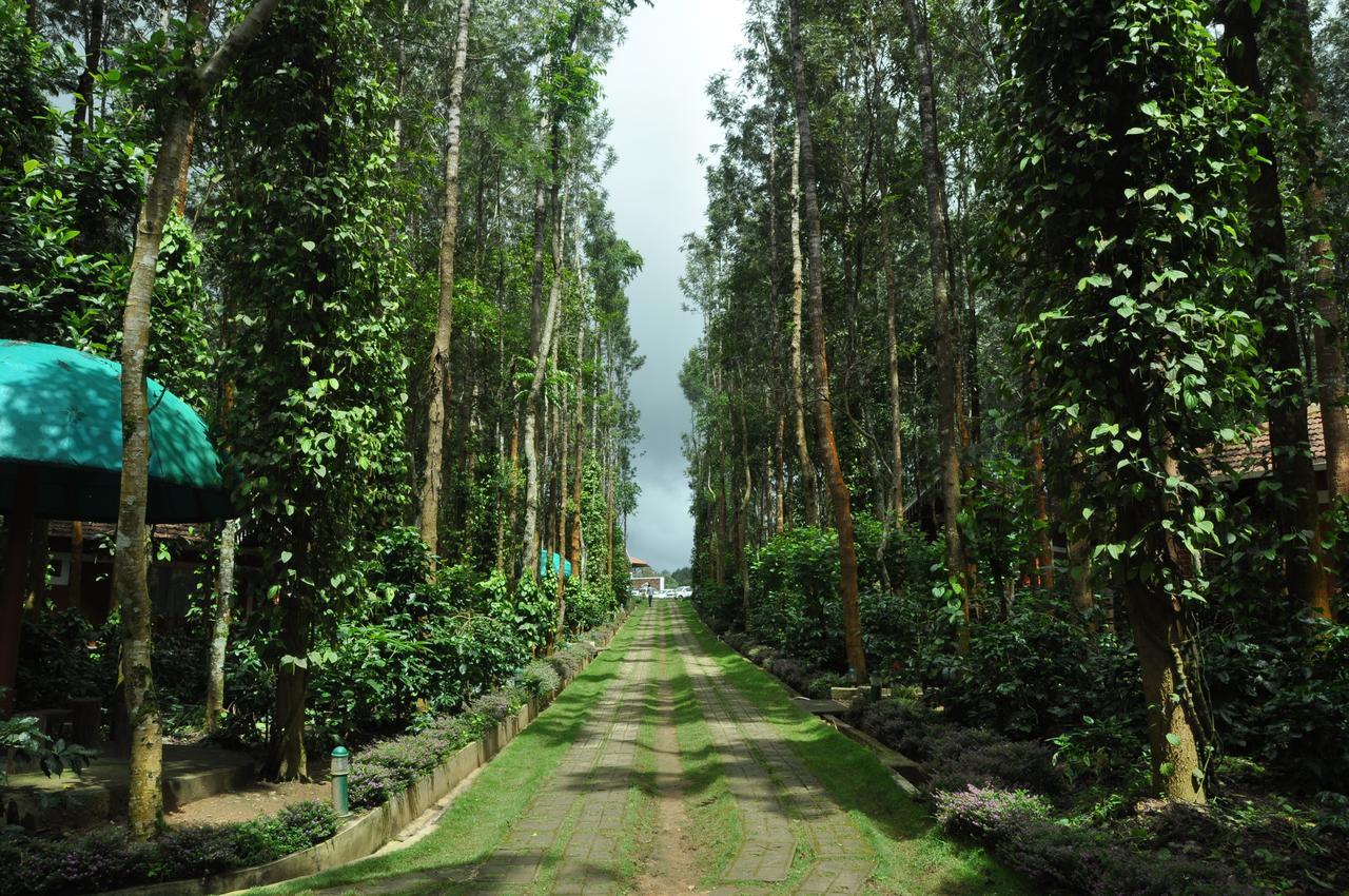 Coffee Grove Resort Chikmagalūr Exterior foto